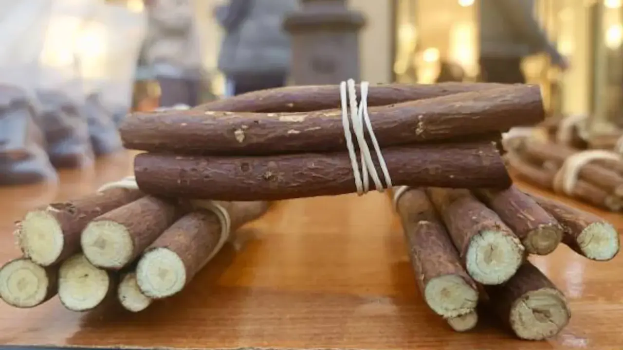 Raíces de regaliz atadas con gomas elásticas, mostrando de donde sale el regaliz.