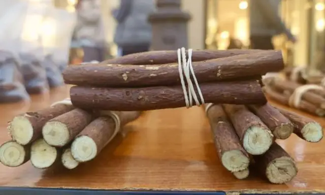 Raíces de regaliz atadas con gomas elásticas, mostrando de donde sale el regaliz.