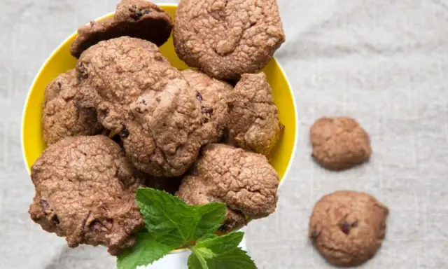 Galleta de chocolate con trozos de arándanos, perfecta para postres para picnic.
