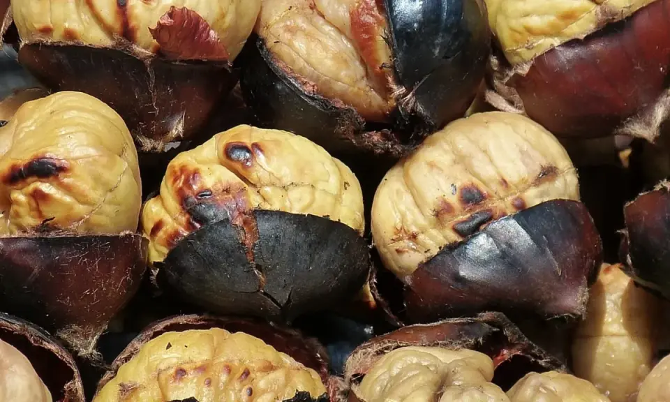 Castañas asadas en freidora de aire, doradas y listas para disfrutar.